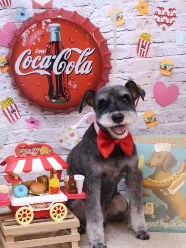 20230917ドンくん